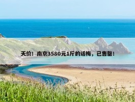 天价！南京3580元1斤的话梅，已售罄！