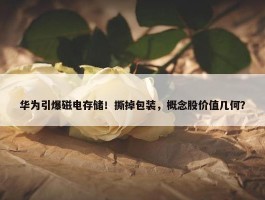 华为引爆磁电存储！撕掉包装，概念股价值几何？