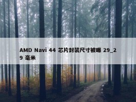 AMD Navi 44 芯片封装尺寸被曝 29_29 毫米