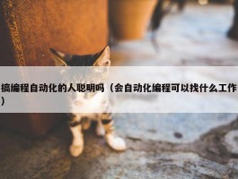 搞编程自动化的人聪明吗（会自动化编程可以找什么工作）