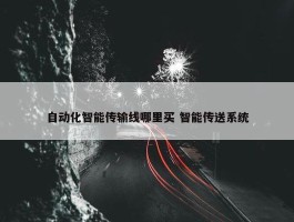 自动化智能传输线哪里买 智能传送系统