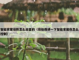 智能家居设防怎么设置的（你给我讲一下智能家居你怎么控制）