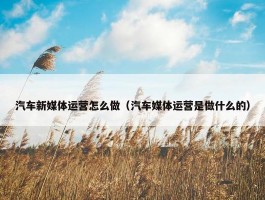 汽车新媒体运营怎么做（汽车媒体运营是做什么的）