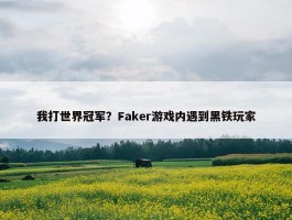 我打世界冠军？Faker游戏内遇到黑铁玩家