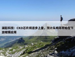 澜起科技：CKD芯片将逐步上量，预计从明年开始在下游规模应用