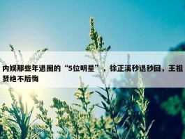 内娱那些年退圈的“5位明星”，徐正溪秒退秒回，王祖贤绝不后悔