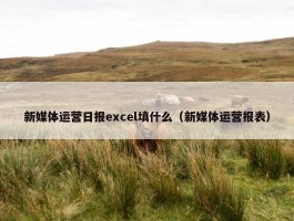 新媒体运营日报excel填什么（新媒体运营报表）