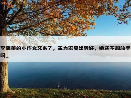 李靓蕾的小作文又来了，王力宏复出转好，她还不想放手吗_