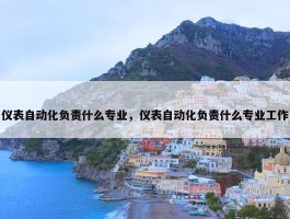 仪表自动化负责什么专业，仪表自动化负责什么专业工作