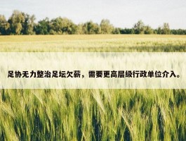 足协无力整治足坛欠薪，需要更高层级行政单位介入。