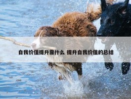 自我价值提升靠什么 提升自我价值的总结