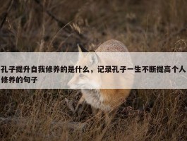 孔子提升自我修养的是什么，记录孔子一生不断提高个人修养的句子