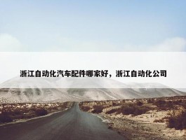 浙江自动化汽车配件哪家好，浙江自动化公司