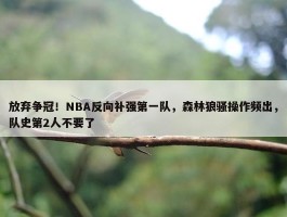 放弃争冠！NBA反向补强第一队，森林狼骚操作频出，队史第2人不要了