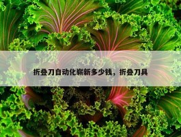 折叠刀自动化崭新多少钱，折叠刀具