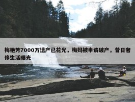 梅艳芳7000万遗产已花光，梅妈被申请破产，昔日奢侈生活曝光