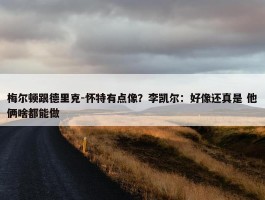 梅尔顿跟德里克-怀特有点像？李凯尔：好像还真是 他俩啥都能做