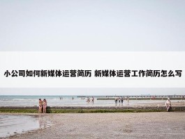 小公司如何新媒体运营简历 新媒体运营工作简历怎么写