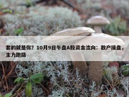 套的就是你？10月9日午盘A股资金流向：散户接盘，主力跑路