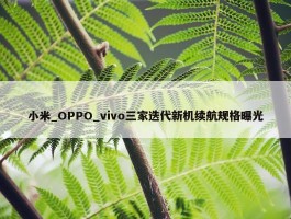 小米_OPPO_vivo三家迭代新机续航规格曝光