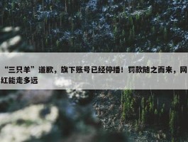 “三只羊”道歉，旗下账号已经停播！罚款随之而来，网红能走多远