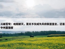 斗破苍穹：魂殿被灭，萧炎不仅成为天府联盟盟主，还是中州最强者