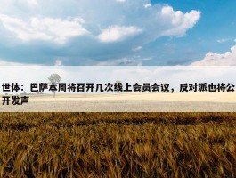 世体：巴萨本周将召开几次线上会员会议，反对派也将公开发声