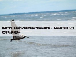 再就业！CBA名帅转型成为篮球解说，未能率领山东打进季后赛遭弃