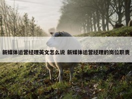 新媒体运营经理英文怎么说 新媒体运营经理的岗位职责