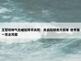 王楚钦帅气比嘘后挥手庆祝：肖战后排卖力鼓掌 世界第一完全苏醒