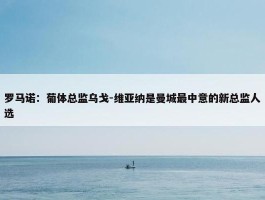 罗马诺：葡体总监乌戈-维亚纳是曼城最中意的新总监人选