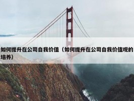 如何提升在公司自我价值（如何提升在公司自我价值观的培养）