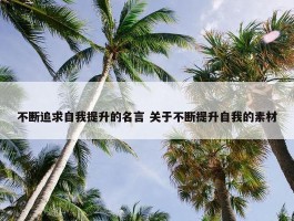 不断追求自我提升的名言 关于不断提升自我的素材