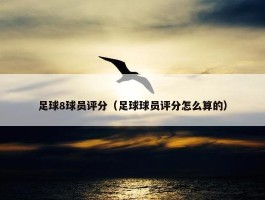 足球8球员评分（足球球员评分怎么算的）