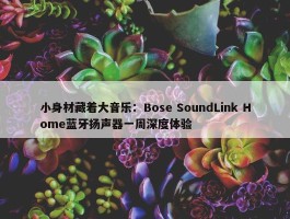 小身材藏着大音乐：Bose SoundLink Home蓝牙扬声器一周深度体验