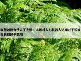 联想创投合伙人王光熙：市场对人形机器人短期过于乐观而长期过于悲观