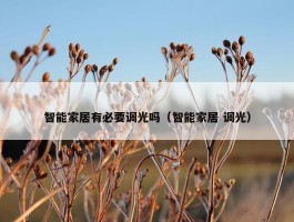 智能家居有必要调光吗（智能家居 调光）