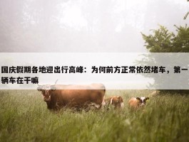 国庆假期各地迎出行高峰：为何前方正常依然堵车，第一辆车在干嘛