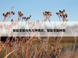 智能家居分为几种模式，智能家居种类