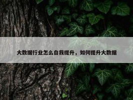 大数据行业怎么自我提升，如何提升大数据