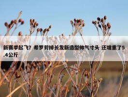 新赛季起飞？希罗剪掉长发新造型帅气寸头 还增重了5.4公斤