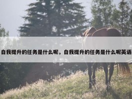 自我提升的任务是什么呢，自我提升的任务是什么呢英语