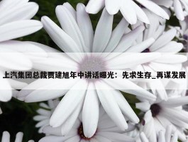 上汽集团总裁贾建旭年中讲话曝光：先求生存_再谋发展