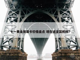 十一黄金周显卡价格盘点 现在适宜装机吗？