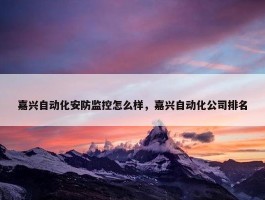 嘉兴自动化安防监控怎么样，嘉兴自动化公司排名