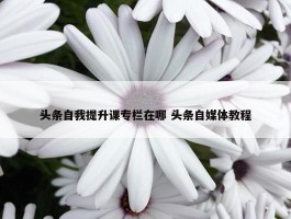 头条自我提升课专栏在哪 头条自媒体教程