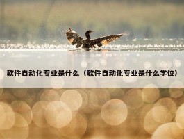 软件自动化专业是什么（软件自动化专业是什么学位）