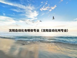 沈阳自动化有哪些专业（沈阳自动化所专业）