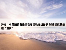 沪媒：申花旧将曹秉局在印尼教练组任职 球迷调侃其是在“潜伏”