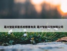 嘉兴智能家居系统哪里有卖 嘉兴智能科技有限公司